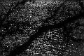 2018_01_27_Lac de Panneciere (0009)